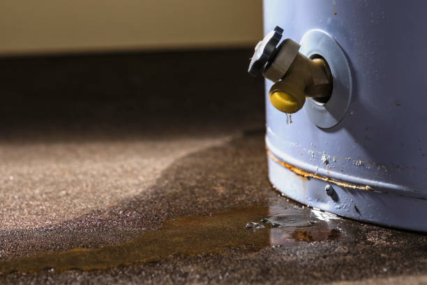 Best Ceiling water damage repair  in Williams, AZ