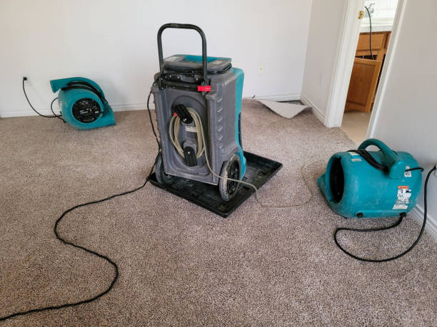 Best Water damage contractors near me  in Williams, AZ