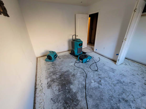 Best Residential water damage restoration  in Williams, AZ