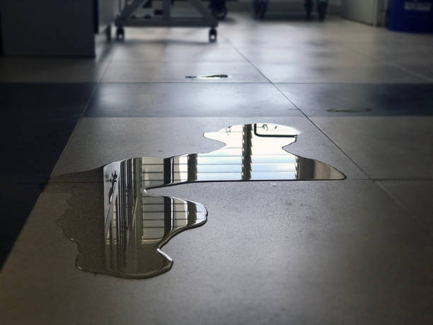 Best Water damage cleanup near me  in Williams, AZ
