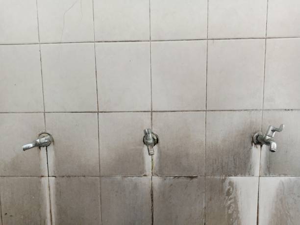 Best Flood restoration services  in Williams, AZ